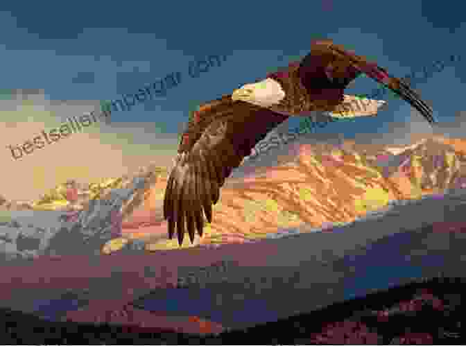 A Bald Eagle Soaring High Above The Mountains Wildlife: A Photographic Collection: Idaho: United States (Wildlife: Idaho)