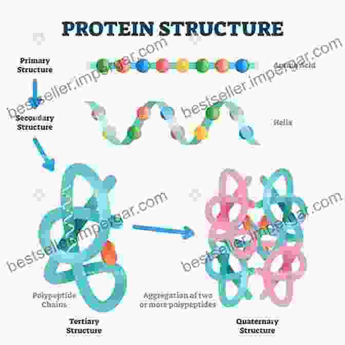 A Colorful Illustration Of A Protein Structure, Showing The Different Amino Acids And Their Interactions. To Protein Structure Anthony Back