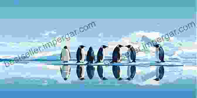 A Group Of Penguins Waddling On The Icy Shores Of Antarctica. European Memories: Travels And Adventures Through 15 Countries (Travels And Adventures Of Ndeye Labadens 4)