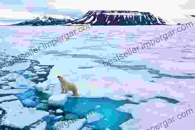 A Photo Of Melting Ice Caps In The Arctic. Mother Earth Needs A Band Aid Facts About Global Warming Nature For Kids Children S Nature