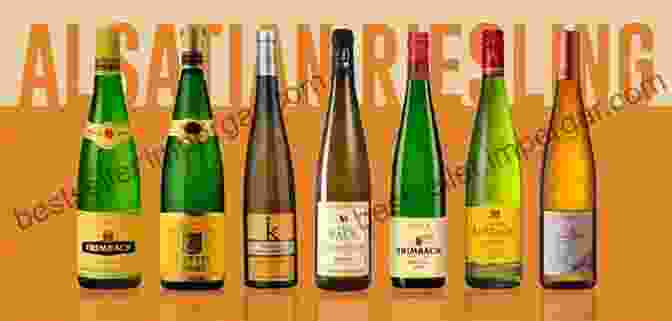 Alsatian Winemaker Wines Of Alsace (Guides To Wines And Top Vineyards 8)