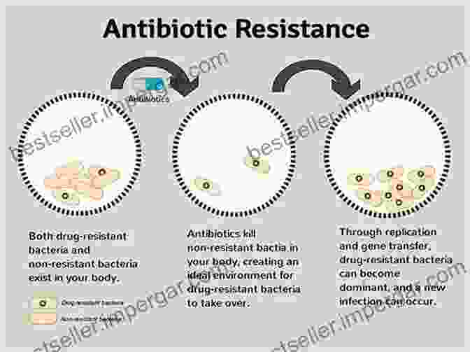 Antibiosis And Bacterial Resistance: A Growing Threat The Bacteria: Their Origin Structure Function And Antibiosis