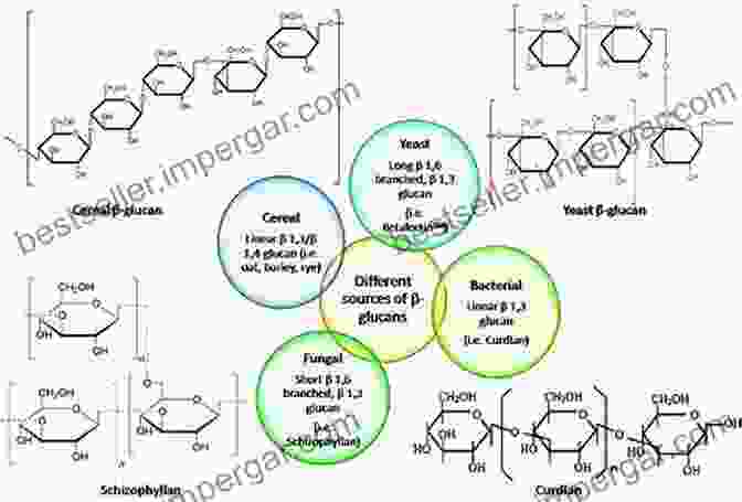 Beta Glucan Medical Dictionary Bibliography And Annotated Research Guide Beta Glucan A Medical Dictionary Bibliography And Annotated Research Guide To Internet References