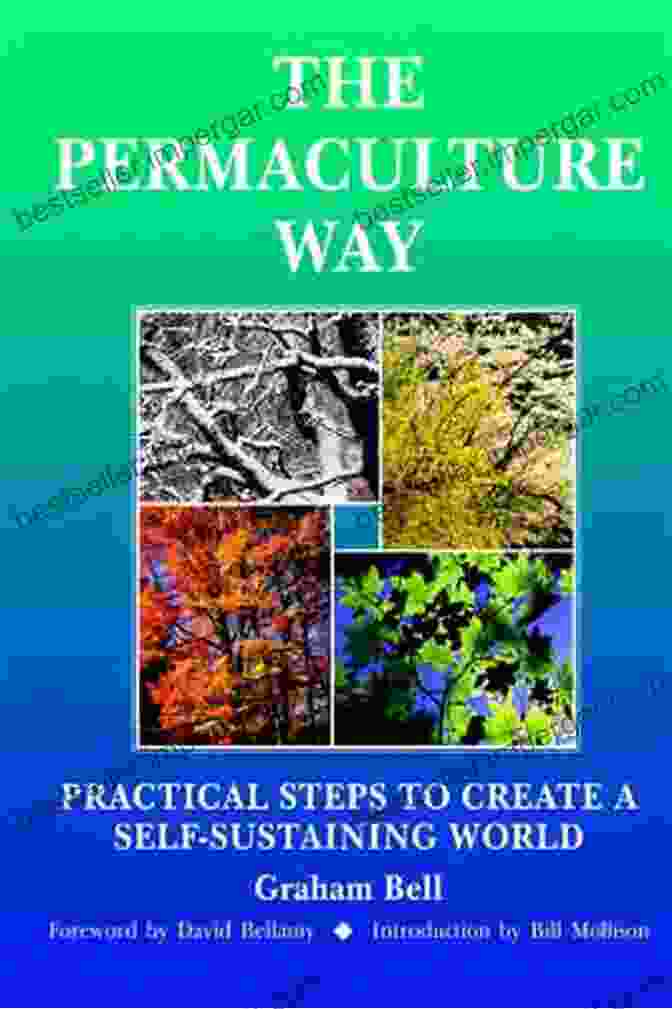 Book Cover Of Practical Steps To Create Self Sustaining World The Permaculture Way: Practical Steps To Create A Self Sustaining World: Practical Steps To Create A Self Sustainable World