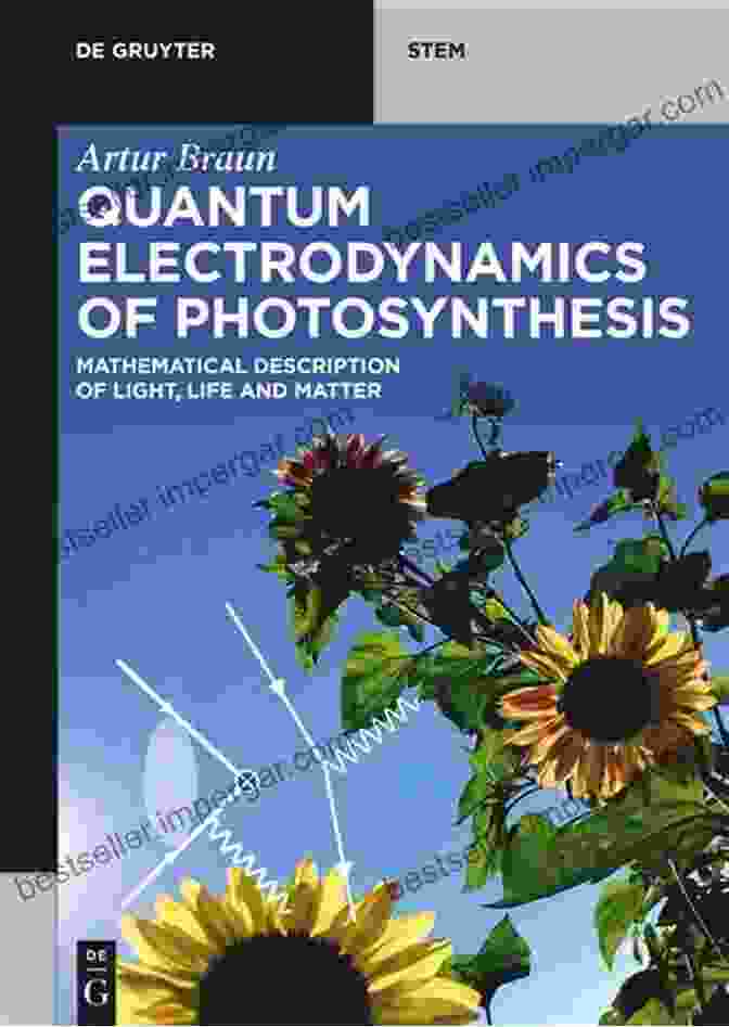 Book Cover Of 'Quantum Electrodynamics Of Photosynthesis' Quantum Electrodynamics Of Photosynthesis: Mathematical Description Of Light Life And Matter (De Gruyter STEM)