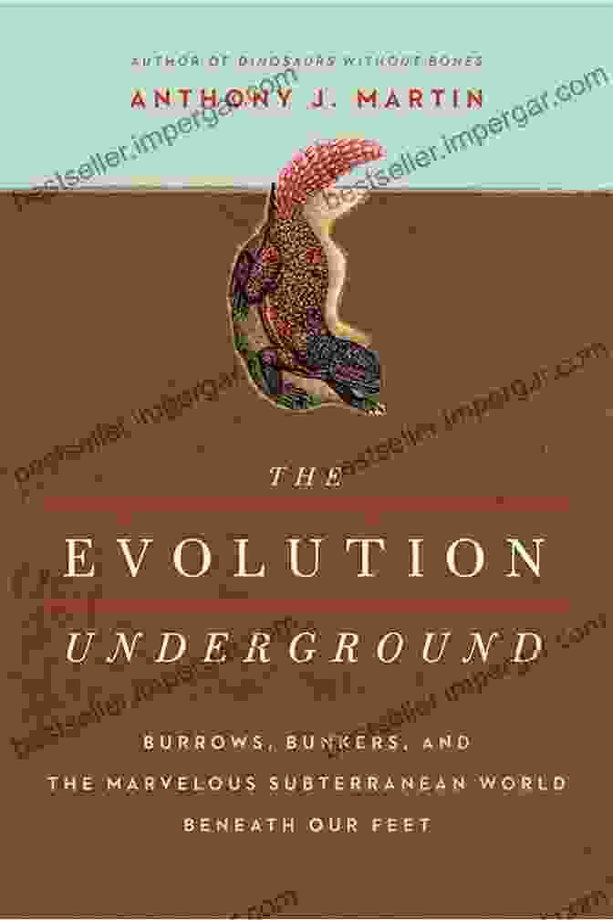 Book Cover Of 'The Evolution Underground' By Anthony Martin, Displaying An Intricate Depiction Of A Cave System With Glowing Lights And Mysterious Creatures The Evolution Underground Anthony J Martin