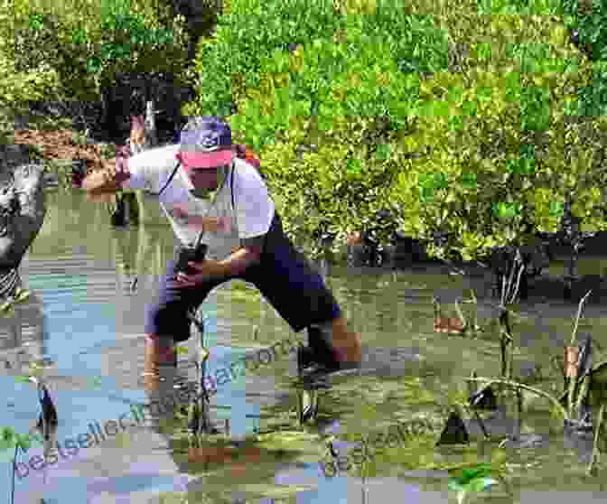 Conservationists Monitoring The Health Of Mangrove Ecosystems. The Everglades: Stories Of Grit And Spirit From The Mangrove Wilderness