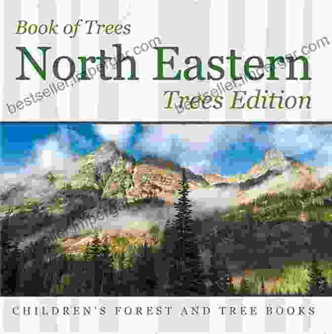 Cover Of The Book 'Of Trees North Eastern Trees Edition: Children Forest And Tree', Featuring A Photograph Of A Towering Tree In A Forest Of Trees North Eastern Trees Edition Children S Forest And Tree