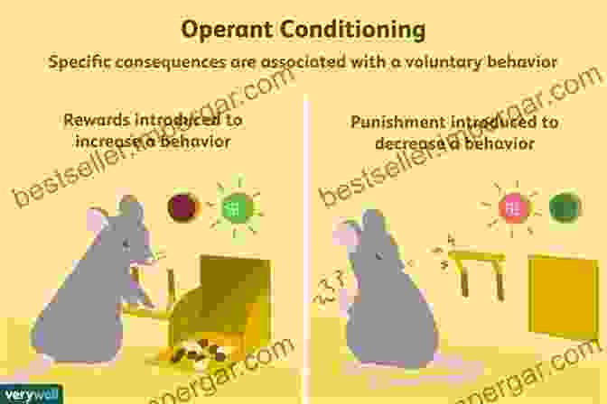 Diagram Illustrating The Principles Of Operant Conditioning Cumulative Record: Definitive Edition (B F Skinner Reprint Edited By Julie S Vargas 4)