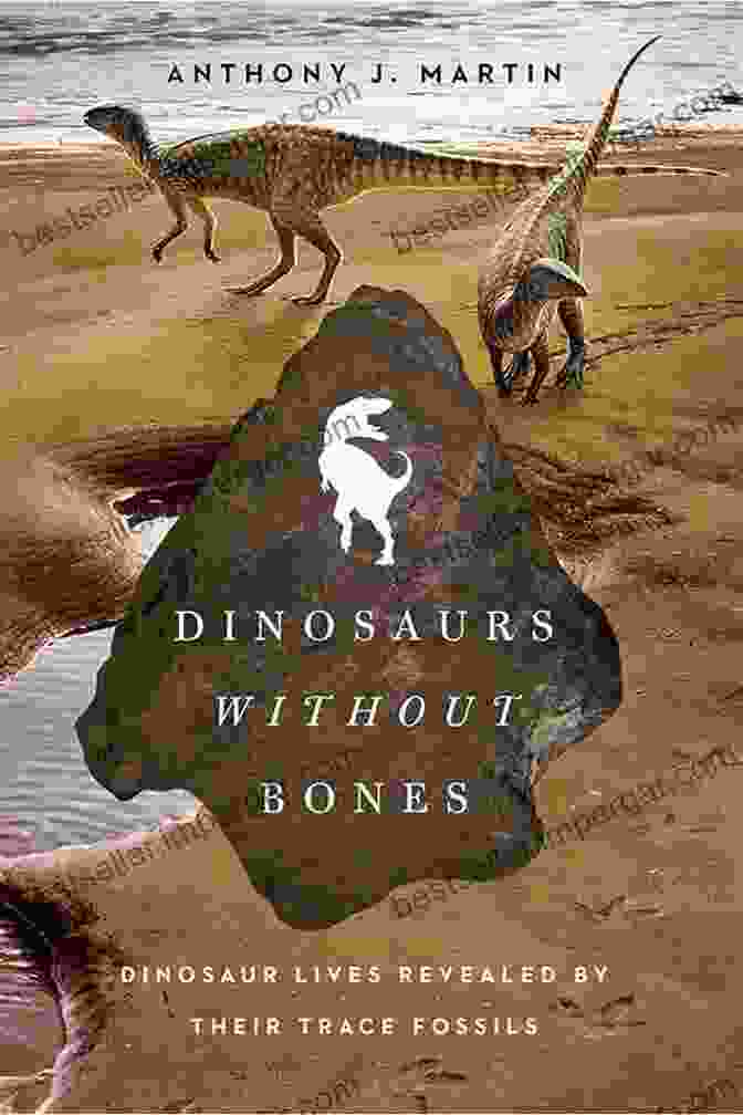 Dinosaur Burrows Dinosaurs Without Bones: Dinosaur Lives Revealed By Their Trace Fossils