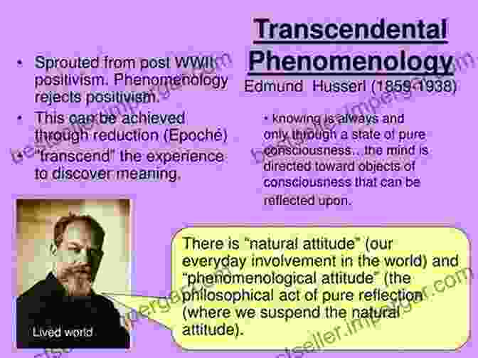 Earthly Transcendentalism Earthly Transcendental Spiritual Logic : From Husserl S Phenomenology To Steiner S Anthroposophy