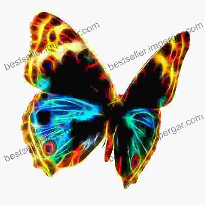 Fractal Flame Image Of A Butterfly Fractal Flames Ebony Collection Volume Two: Over A Hundred More Top Flight Fractal Flame Images That Leap From The Page And Light Up The Heart Imaginative Colorful Rainbows Of Textures And Light