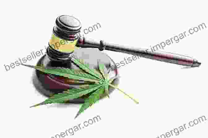 Gavel And Cannabis Plant, Representing The Intersection Of Law And Cannabis Weed Science: Cannabis Controversies And Challenges