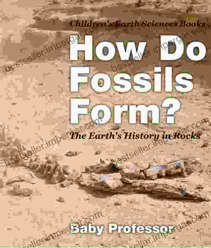 Inspiring Young Explorers How Do Fossils Form? The Earth S History In Rocks Children S Earth Sciences