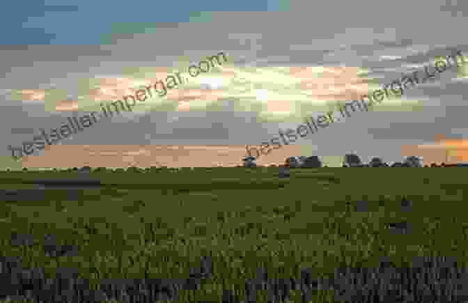 Sun Shining Down On A Field Of Crops With Raindrops Falling Soil Seeds Sun And Rain How Nature Works On A Farm Farming For Kids Children S Agriculture