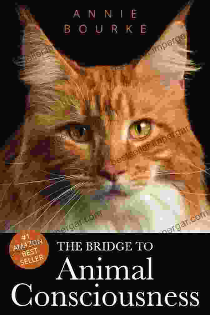 The Bridge To Animal Consciousness Book Cover Featuring A Vibrant Depiction Of A Wolf And A Human Connecting Minds Through A Bridge. The Bridge To Animal Consciousness