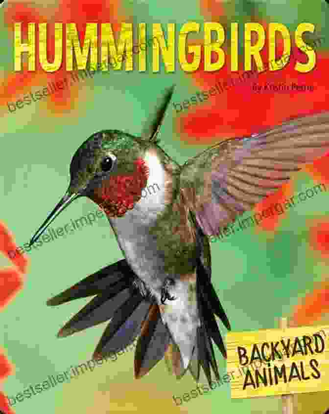 The Shadow Of The Hummingbird Book Cover The Shadow Of The Hummingbird