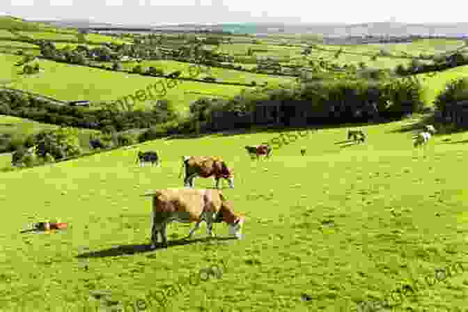 Vibrant Farm With Lush Fields And Grazing Animals Soil Seeds Sun And Rain How Nature Works On A Farm Farming For Kids Children S Agriculture