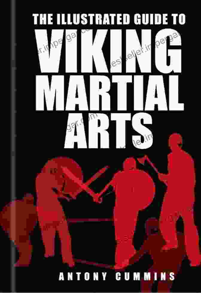 Vikings Practicing Sparring Illustrated Guide To Viking Martial Arts