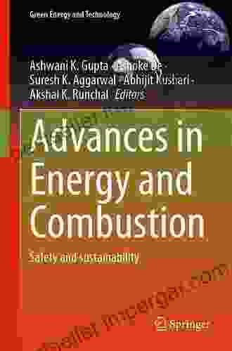 Advances In Energy And Combustion: Safety And Sustainability (Green Energy And Technology)