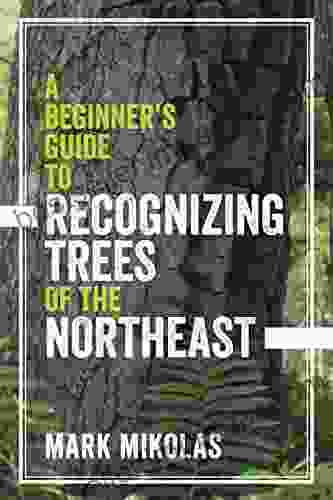 A Beginner S Guide To Recognizing Trees Of The Northeast