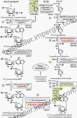 The Porphyrin Handbook: The Iron And Cobalt Pigments: Biosynthesis Structure And Degradation