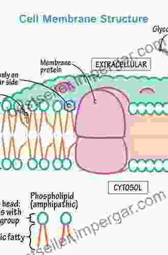 An Introduction to Biological Membranes: Composition Structure and Function