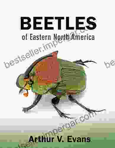 Beetles Of Eastern North America