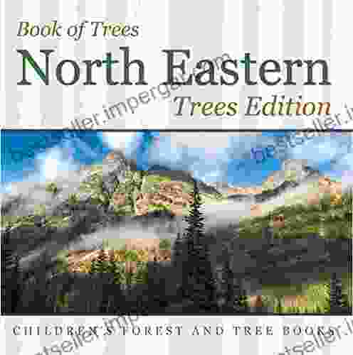 Of Trees North Eastern Trees Edition Children S Forest And Tree