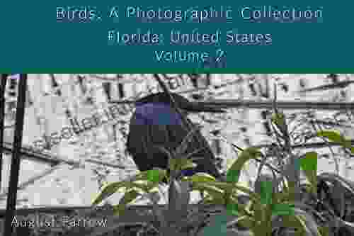 Birds: A Photographic Collection: Florida: United States Volume 2 (Wildlife: Florida)