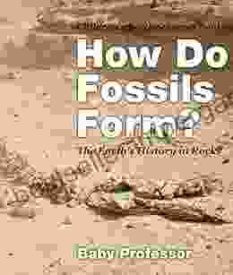 How Do Fossils Form? The Earth s History in Rocks Children s Earth Sciences