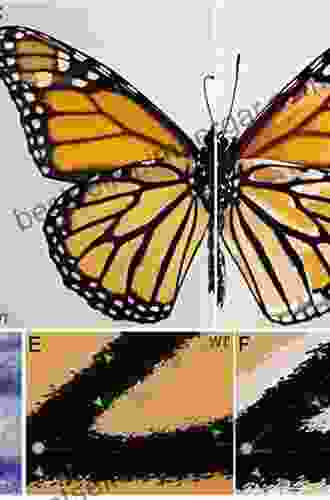 Diversity And Evolution Of Butterfly Wing Patterns: An Integrative Approach