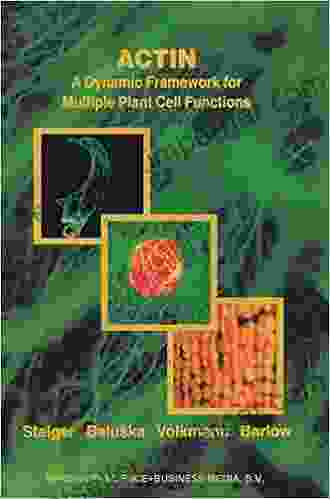 Actin: A Dynamic Framework For Multiple Plant Cell Functions (Developments In Plant And Soil Sciences 89)