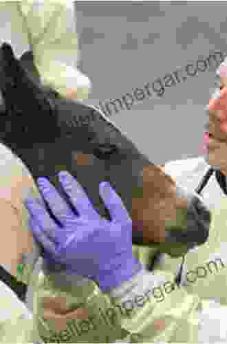 Equine Emergencies: Treatment And Procedures