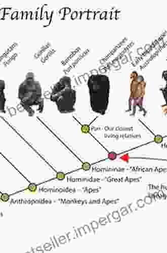 The First Idea: How Symbols Language And Intelligence Evolved From Our Primate Ancestors To Modern Humans