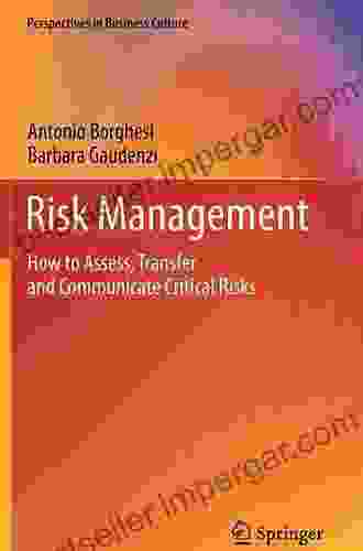 Risk Management: How To Assess Transfer And Communicate Critical Risks (Perspectives In Business Culture)