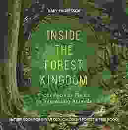 Inside The Forest Kingdom From Peculiar Plants To Interesting Animals Nature For 8 Year Old Children S Forest Tree