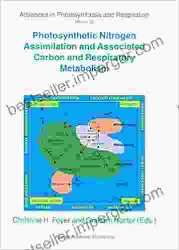 Photosynthetic Nitrogen Assimilation And Associated Carbon And Respiratory Metabolism (Advances In Photosynthesis And Respiration 12)