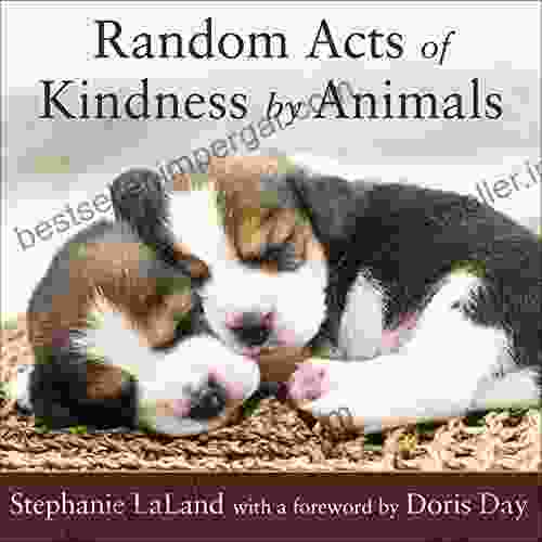 Random Acts Of Kindness By Animals