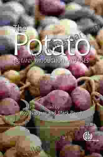 The Potato: Botany Production And Uses