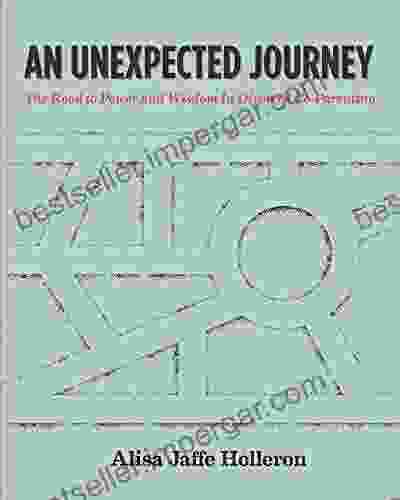 An Unexpected Journey: The Road To Power And Wisdom In Divorced Co Parenting