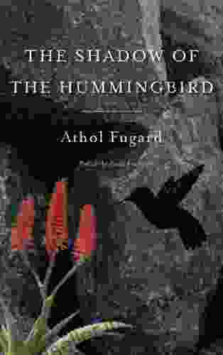 The Shadow of the Hummingbird