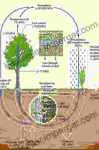 Transport In The Atmosphere Vegetation Soil Continuum