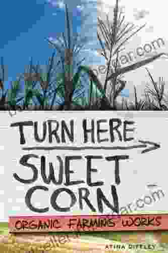 Turn Here Sweet Corn: Organic Farming Works