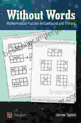 Without Words: Mathematical Puzzles To Confound And Delight