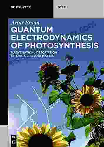 Quantum Electrodynamics Of Photosynthesis: Mathematical Description Of Light Life And Matter (De Gruyter STEM)