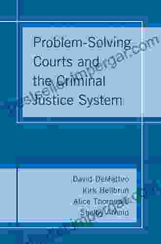 Problem Solving Courts And The Criminal Justice System