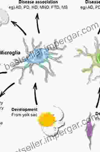 The Neurobiology Of Criminal Behavior: Gene Brain Culture Interaction