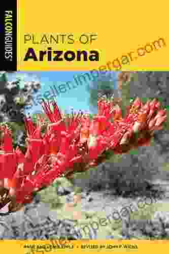 Plants Of Arizona Anne Orth Epple