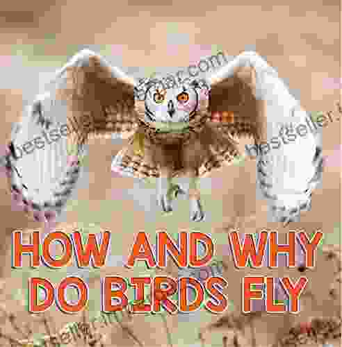 How And Why Do Birds Fly: Bird For Kids (Children S Bird (Ornithology))